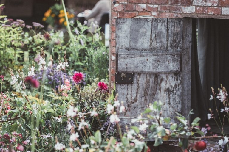 Creating a Sustainable Garden: Tips for Every Gardener