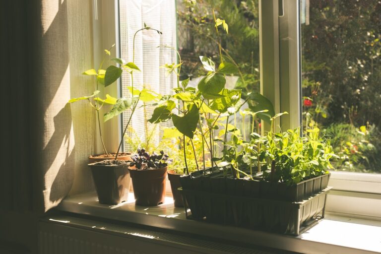 Seasonal Gardening: What to Plant Each Season