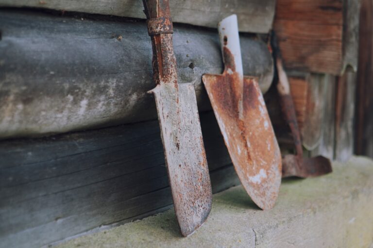 Essential Gardening Tools Every Beginner Should Have